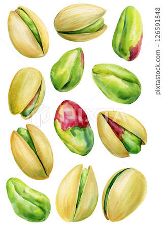 Pistachios Watercolor set. Whole nuts and green kernels in natural shell. Hand-painted botanical art food illustration 126591848