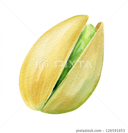 Pistachio. Hand drawn watercolor painting nut shelled nut on white background. Organic food illustration for design Pistachio. Hand drawn watercolor painting nut shelled nut on white background. Organic food illustration for design 126591853