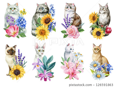 Watercolor Cats with Flowers set, Cute Floral Cat Clipart Set, Botanical Pet Illustrations Isolated on White Background 126591863