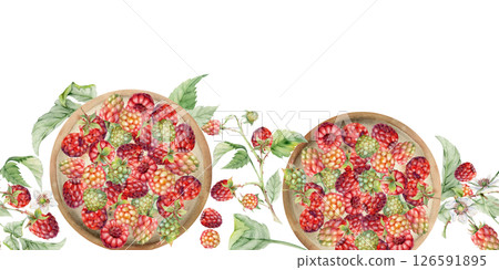 Raspberry berries leaves served on ceramic dish, hand drawn in watercolor, ripe picked mulberry loganberry harvest. Isolated seamless banner border. Restaurant menu, cookbook, farmers market grocery 126591895