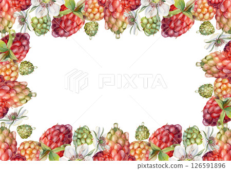 Raspberry ripe garden berries, flowers in water dew drops hand drawn in watercolor. Isolated border frame. Home preserves, kitchen linens prints, food store decor, recipe book, dessert menu, cards 126591896