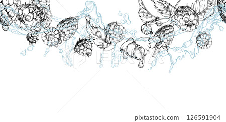 Raspberry flying in water splash with leaves, dew drops hand drawn in vector ink. Ripe summer garden forest berry loganberry mulberry. Isolated seamless banner. Home preserves, stationery, recipe book 126591904