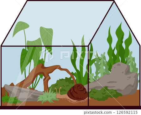 Terrarium for Snail with Rocks, Wood, Plants and Soil Isolated on White. Achatina Aquarium Habitat Setup for Exotic Pet Care. Vivarium Illustration for Nature Lovers Terrarium for Snail with Rocks, Wood, Plants and Soil Isolated on White. Achatina Aquarium Habitat Setup for Exotic Pet Care. Vivarium Illustration for Nature Lovers 126592115
