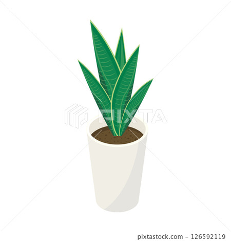 室內植物「虎尾蘭」_等距插圖 室內植物「虎尾蘭」_等距插圖 126592119