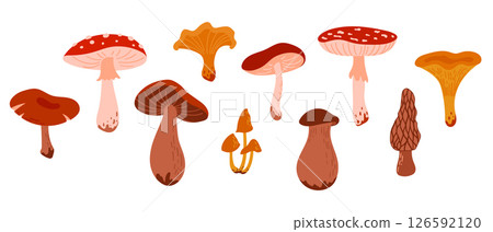 Set of Cartoon Wild Forest Mushrooms. Collection Edible and Poisonous Fungus: Morel, Amanita, Boletus, Porcini, Chanterelle, Honey Fungus Set of Cartoon Wild Forest Mushrooms. Collection Edible and Poisonous Fungus: Morel, Amanita, Boletus, Porcini, Chanterelle, Honey Fungus 126592120
