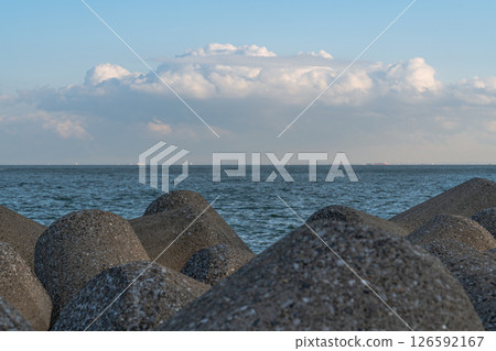 The sea seen from the tetrapod 126592167