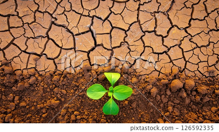 A small green plant breaks through the cracked dry soil symbolizing resilience and hope. The vibrant leaves contrast sharply with the barren landscape showcasing nature's tenacity. 126592335