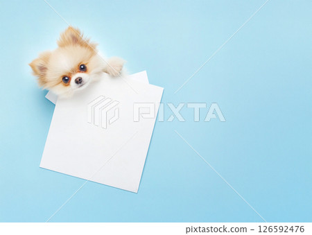 White blank Greeting card mockup on turquoise blue background 126592476