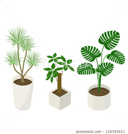 一組室內植物_等距插圖 126592611