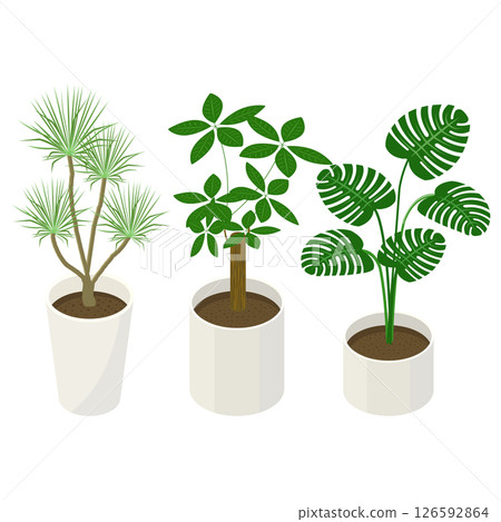 一組室內植物_等距插圖 126592864