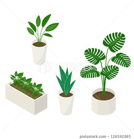 一組室內植物_等距插圖 126592865