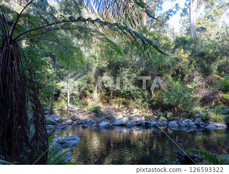 Cumberland River along Kalimna Falls trek, Great Ocean Road, Australia 126593322
