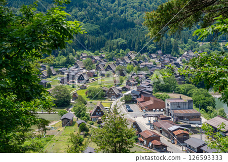 Traditional thatched houses of Shirakawa-go village in rural Japan. Panoramic view 126593333