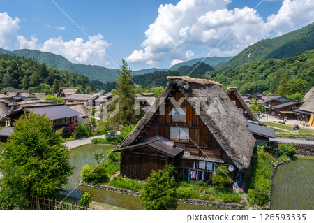 Traditional houses and rice fields in Shirakawa-go, rural Japan Traditional houses and rice fields in Shirakawa-go, rural Japan 126593335