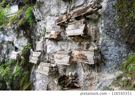 Toraja tombs and skulls in cave sanctuary, Sulawesi, Indonesia Toraja tombs and skulls in cave sanctuary, Sulawesi, Indonesia 126593351