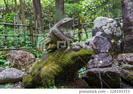 Frog fountain on Higashiyama Walking Course in Takayama, Japan Frog fountain on Higashiyama Walking Course in Takayama, Japan 126593353