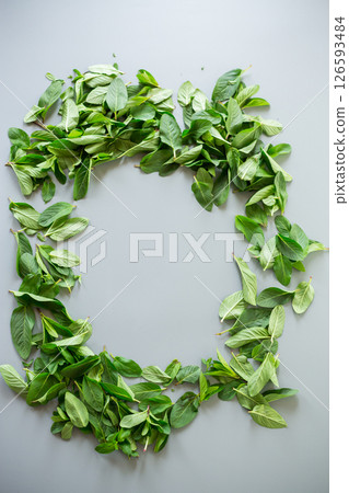 Fresh green mint with water drops on a neutral background Fresh green mint with water drops on a neutral background 126593484