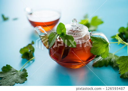Top view of a cup of tea from mint and currant leaves Top view of a cup of tea from mint and currant leaves 126593487