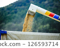Agriculture landscape 126593714