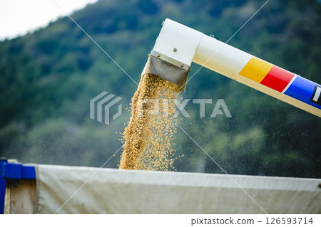 農業景觀 126593714