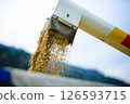 Agriculture  126593715