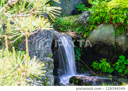 Scenery of Sorakuen in early summer: Small waterfall in the garden 3, Chuo Ward, Kobe City, Hyogo Prefecture 126594349