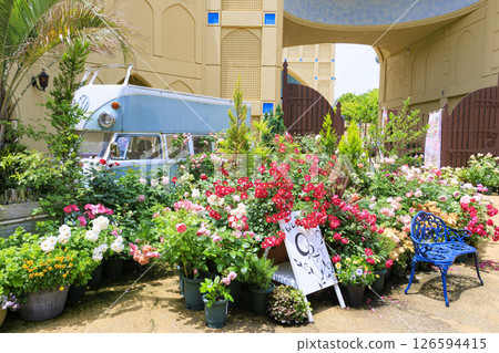 Reoma Flower World: Rose garden in full bloom 126594415