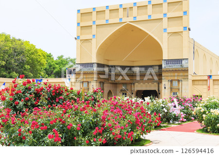 Reoma Flower World: Rose garden in full bloom Reoma Flower World: Rose garden in full bloom 126594416