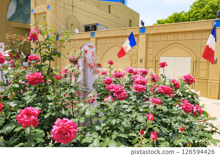 Reoma Flower World: Rose garden in full bloom 126594426