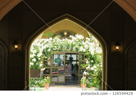 Reoma Flower World: Rose garden in full bloom 126594429
