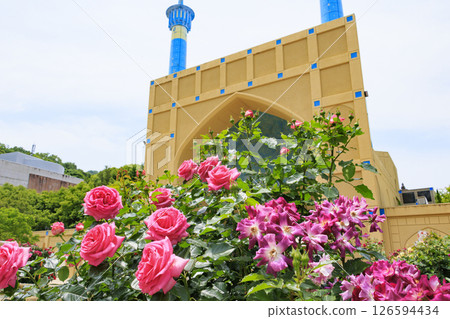 雷歐瑪花卉世界：盛開的玫瑰園 126594434