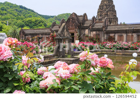 Reoma Flower World: Rose garden in full bloom 126594452