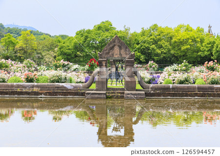 雷歐瑪花卉世界：盛開的玫瑰園 126594457