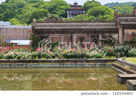 Reoma Flower World: Rose garden in full bloom Reoma Flower World: Rose garden in full bloom 126594465