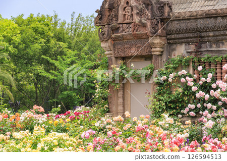 雷歐瑪花卉世界：盛開的玫瑰園 126594513