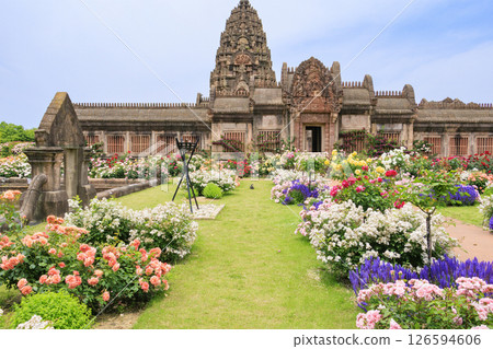 Reoma Flower World: Rose garden in full bloom Reoma Flower World: Rose garden in full bloom 126594606
