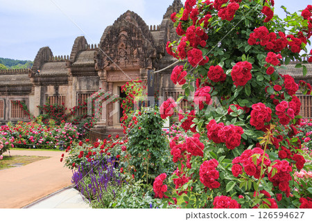 Reoma Flower World: Rose garden in full bloom Reoma Flower World: Rose garden in full bloom 126594627