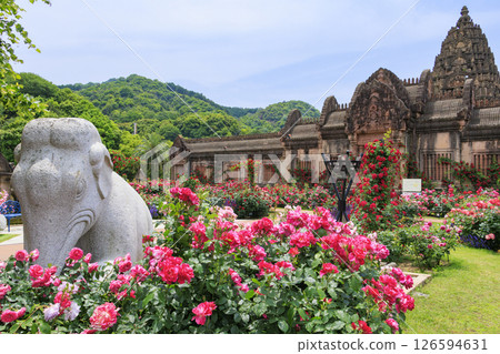 Reoma Flower World: Rose garden in full bloom 126594631