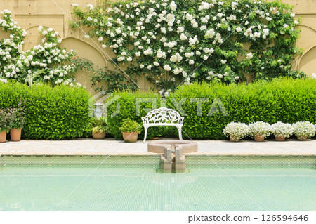 Reoma Flower World: Rose garden in full bloom Reoma Flower World: Rose garden in full bloom 126594646