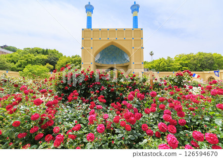 Reoma Flower World: Rose garden in full bloom 126594670