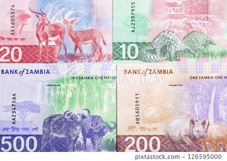 Zambian kwacha - new serie of banknotes - a background 126595000