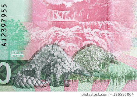 Two pangolins from Zambian money 126595004