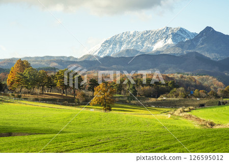 蒜山高原的紅葉和白雪皚皚的大山 126595012