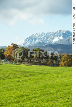 Autumn foliage on the Hiruzen Plateau and snow-capped Mt. Daisen Autumn foliage on the Hiruzen Plateau and snow-capped Mt. Daisen 126595013