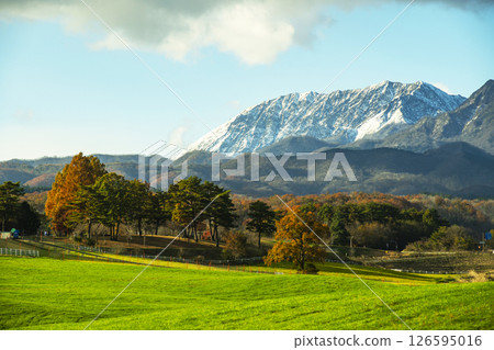 蒜山高原的紅葉和白雪皚皚的大山 126595016