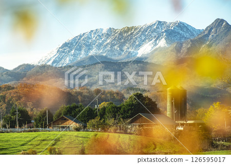 Autumn foliage on the Hiruzen Plateau and snow-capped Mt. Daisen 126595017