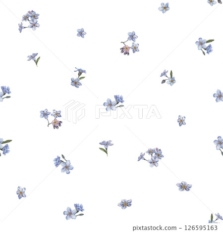 Seamless pattern with blooming forget-me-not flowers. Hand drawn watercolor illustration isolated on white background. Perfect for cards, wedding designs, botanical prints, textile and wallpapers. Seamless pattern with blooming forget-me-not flowers. Hand drawn watercolor illustration isolated on white background. Perfect for cards, wedding designs, botanical prints, textile and wallpapers. 126595163