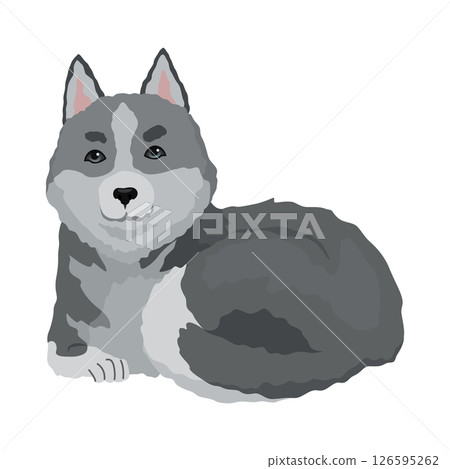 Cute gray wolf pose. Cartoon character of dangerous mammalian animal. Vector flat illustration isolated on white background 126595262