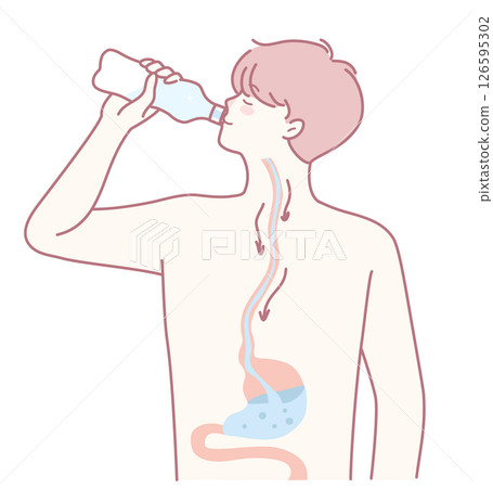 An Illustration of the Hydration Process in Human Digestion and Its Various Aspects 126595302