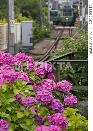 在長谷站等候 126595515